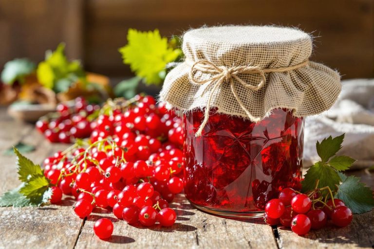 Gelee groseille : recette de grand-mère simple et savoureuse.jpg
