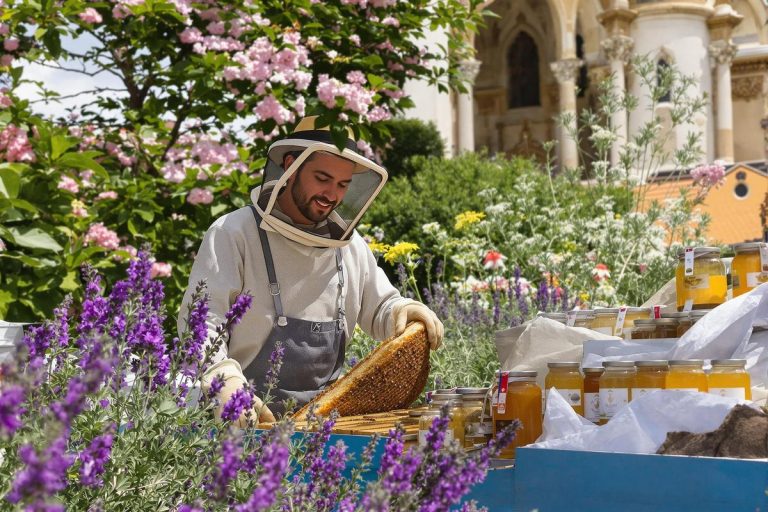 Produits régionaux d'Occitanie : miel et cadeaux apiculteur.jpg