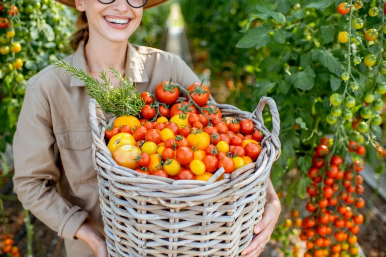 pourquoi-je-noublierai-jamais-dappliquer-cette-astuce-en-juillet-pour-doubler-mon-rendement-de-tomates